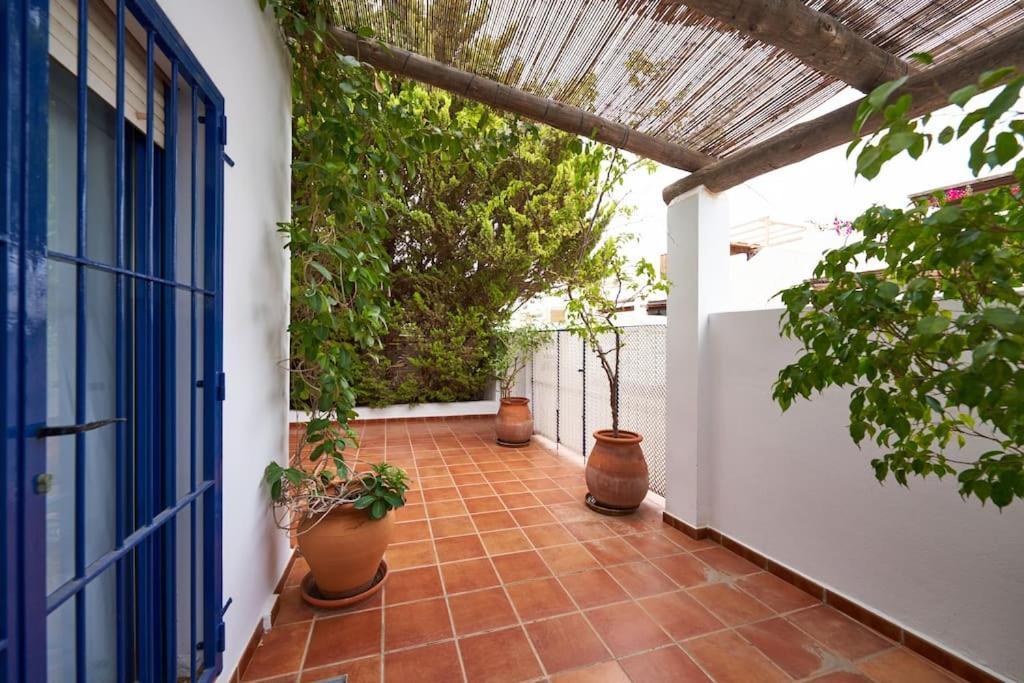 Casa De Los Pinos San Jose  Ngoại thất bức ảnh